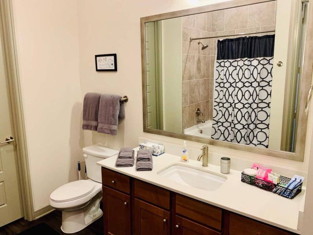 Downtown Apt Free Parking - Pool - Gym - Fully Kitchen Houston Eksteriør billede